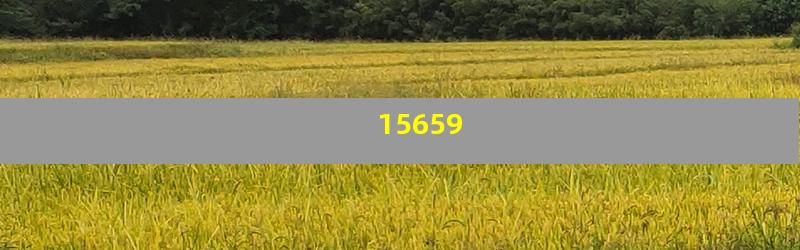 15659