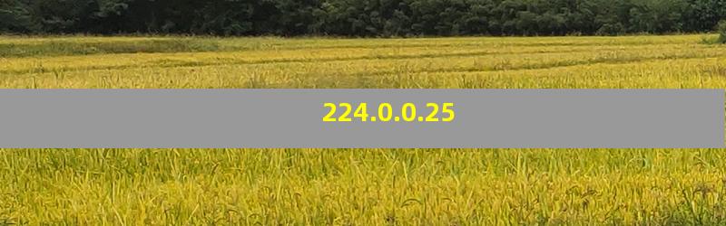 224.0.0.25