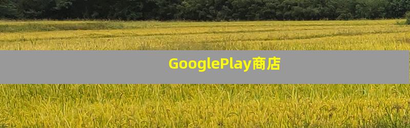 GooglePlay商店