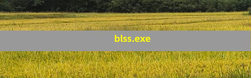 blss.exe