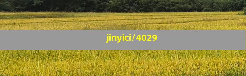 jinyici/4029