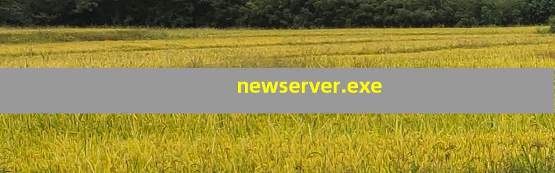 newserver.exe