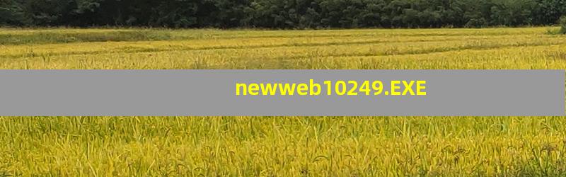 newweb10249.EXE