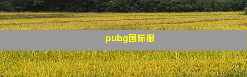 pubg国际服