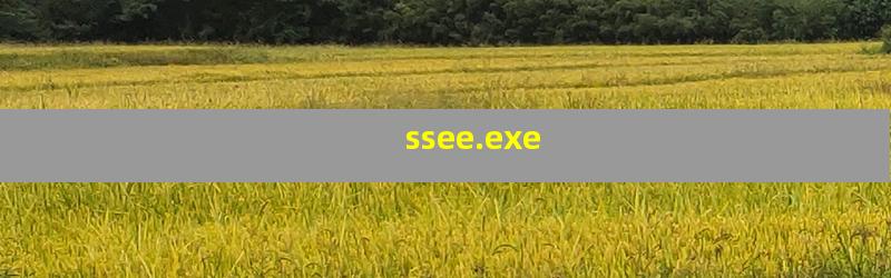 ssee.exe