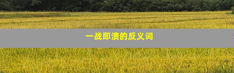 一战即溃的反义词