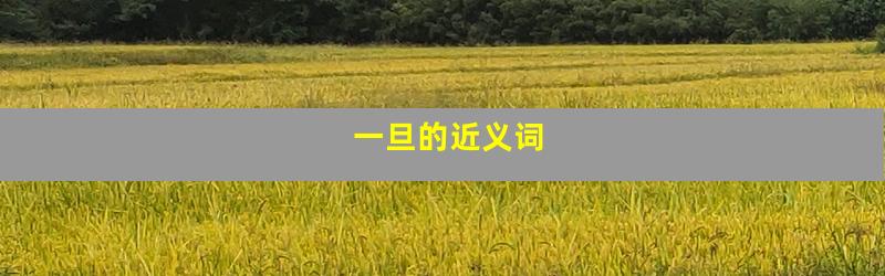 一旦的近义词