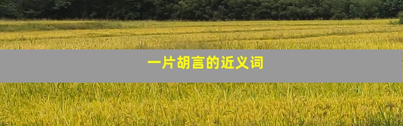 一片胡言的近义词