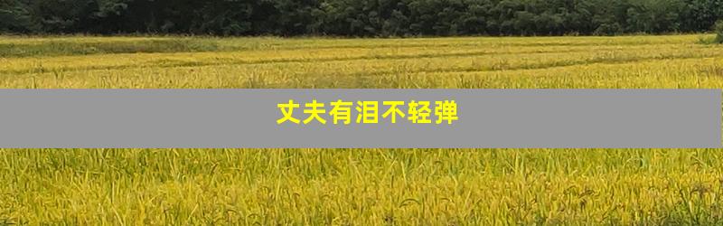 丈夫有泪不轻弹