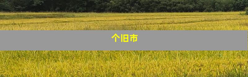 个旧市