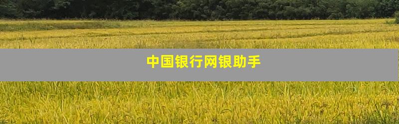 中国银行网银助手