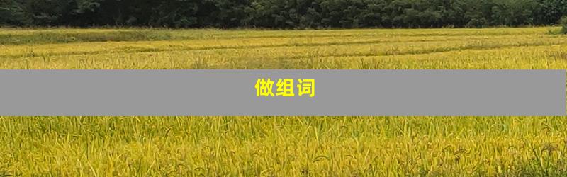 做组词