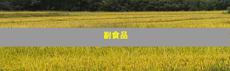 副食品
