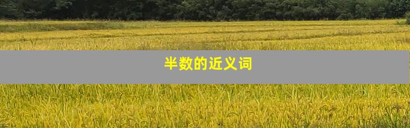 半数的近义词
