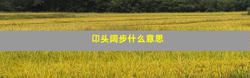 卬头阔步什么意思