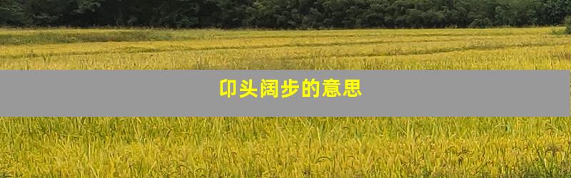 卬头阔步的意思