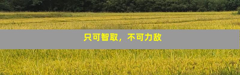 只可智取，不可力敌