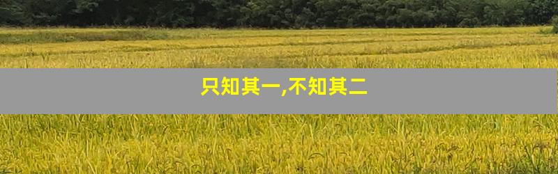 只知其一,不知其二