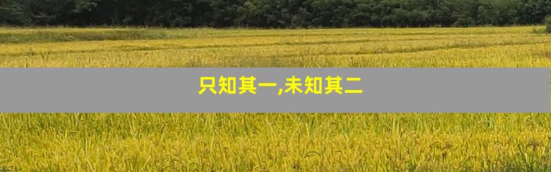 只知其一,未知其二