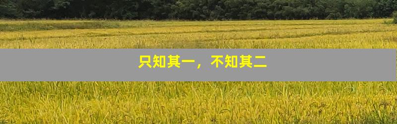 只知其一，不知其二