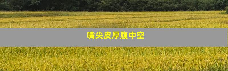 嘴尖皮厚腹中空