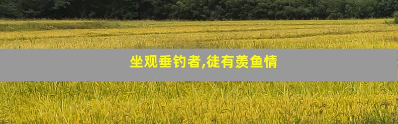 坐观垂钓者,徒有羡鱼情
