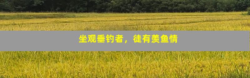 坐观垂钓者，徒有羡鱼情