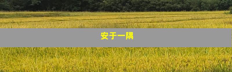 安于一隅