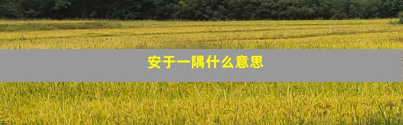 安于一隅什么意思