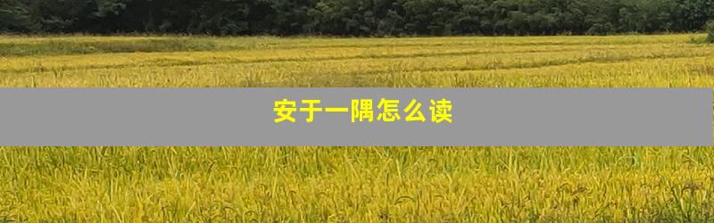安于一隅怎么读