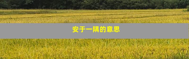 安于一隅的意思
