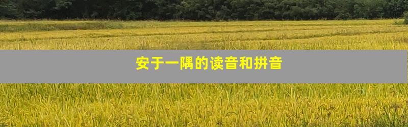 安于一隅的读音和拼音