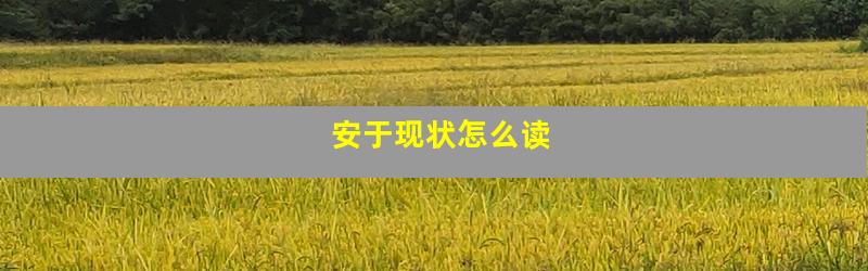 安于现状怎么读
