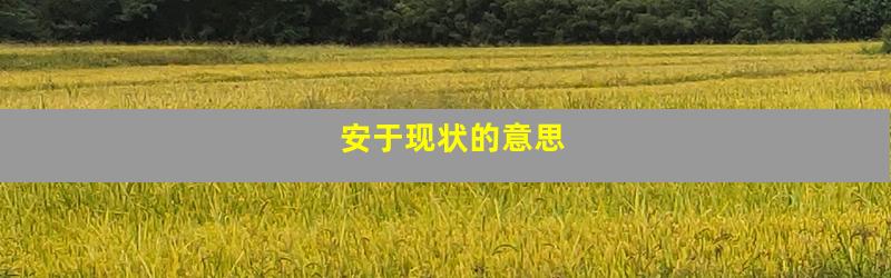 安于现状的意思
