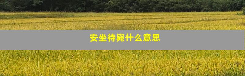 安坐待毙什么意思