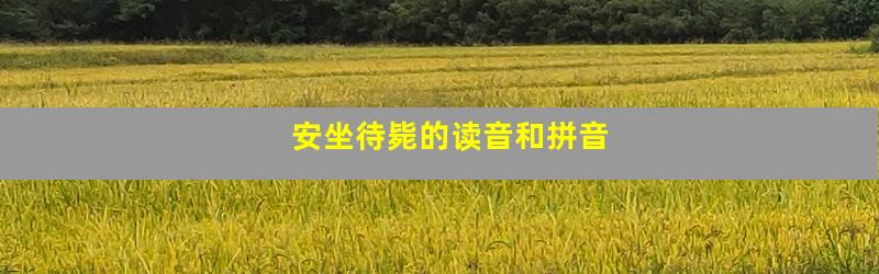 安坐待毙的读音和拼音