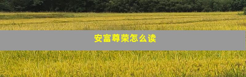 安富尊荣怎么读