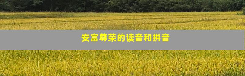 安富尊荣的读音和拼音