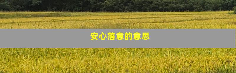 安心落意的意思