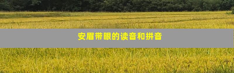 安眉带眼的读音和拼音