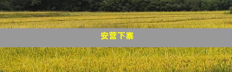 安营下寨