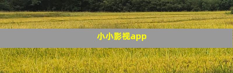 小小影视app