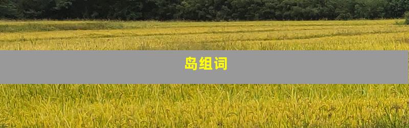 岛组词