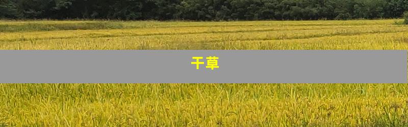 干草