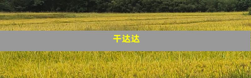干达达