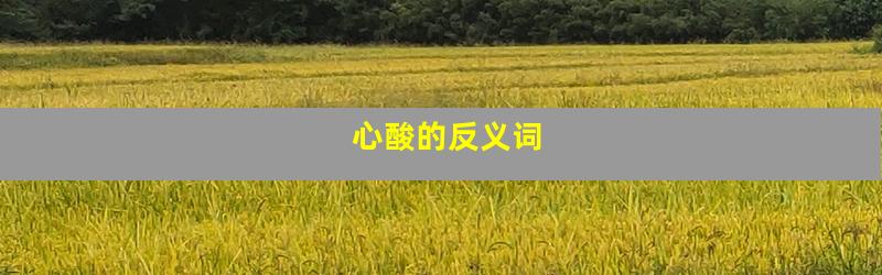 心酸的反义词