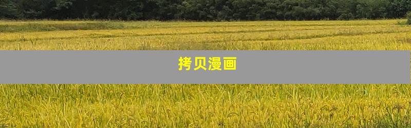拷贝漫画