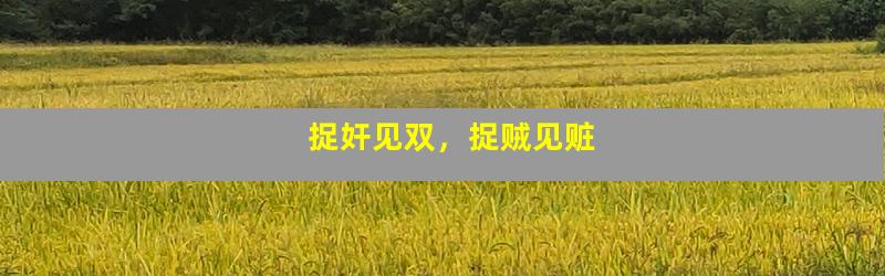 捉奸见双，捉贼见赃