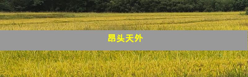 昂头天外