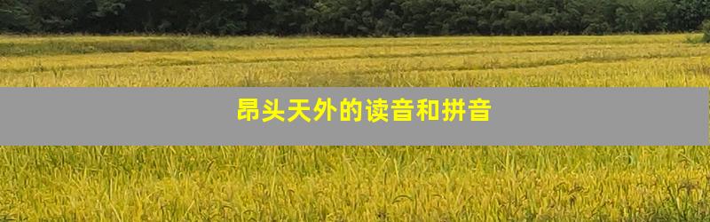 昂头天外的读音和拼音
